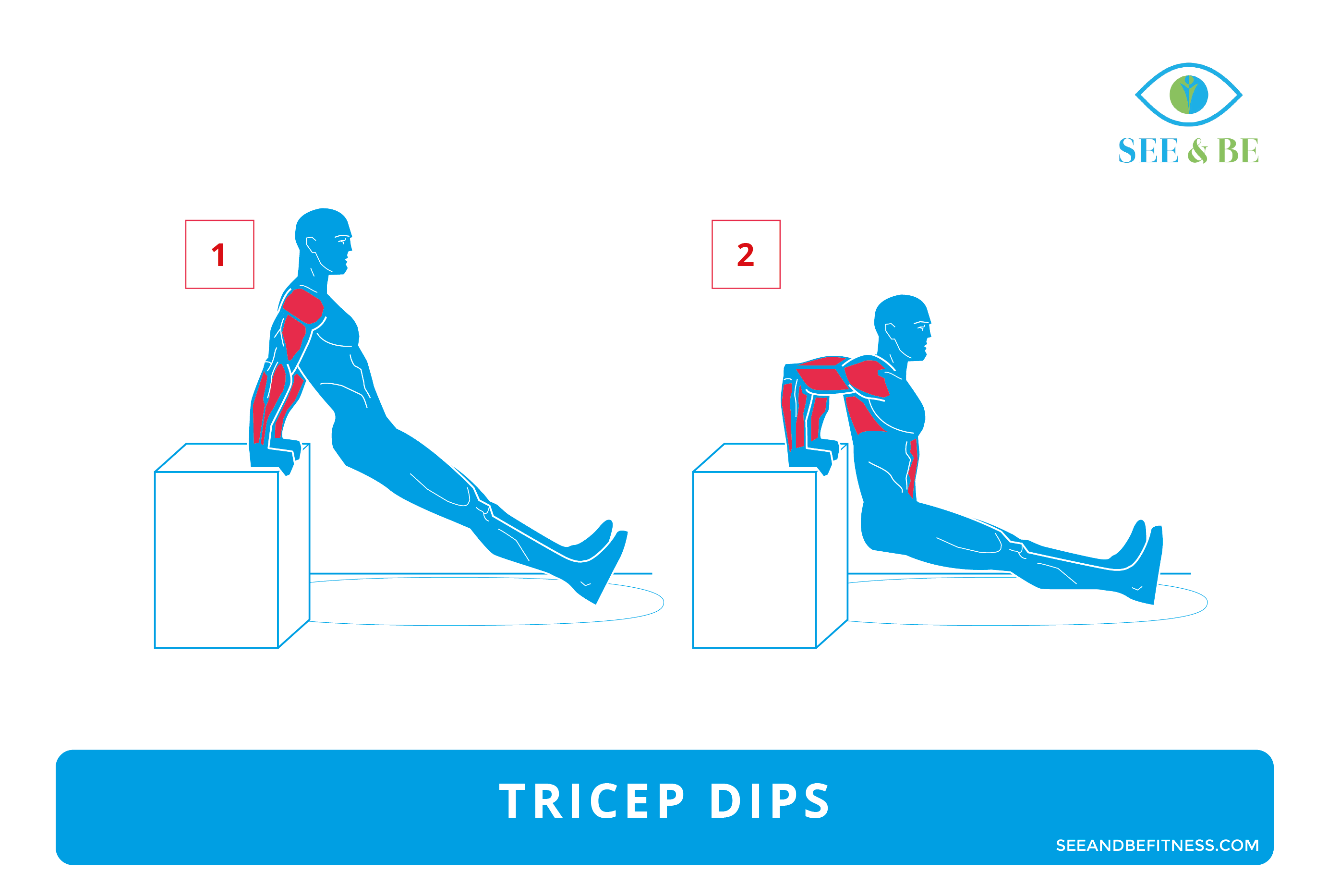 Triceps Dips Triceps Dips